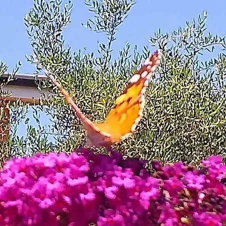 Holiday home Casa Enrica Montignoso